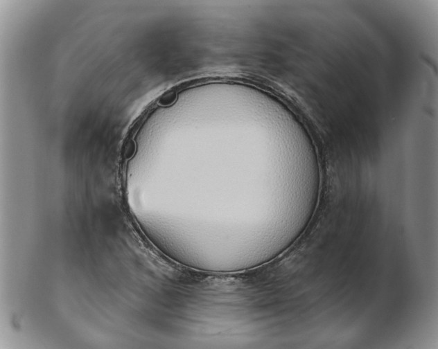 X0000103171168200809051715