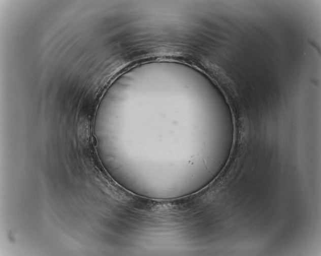 X0000103171169200809051715