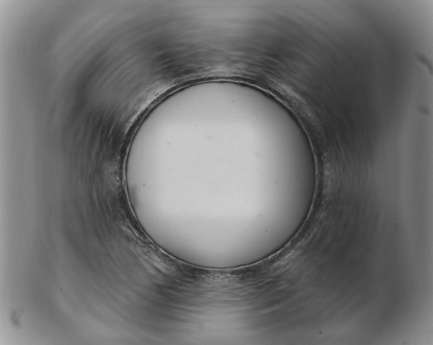 X0000103171170200809051715