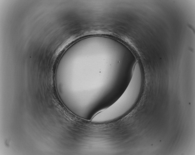 X0000103171173200809051715