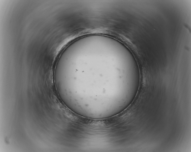 X0000103171174200809051715