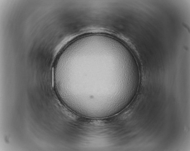 X0000103171175200809051715