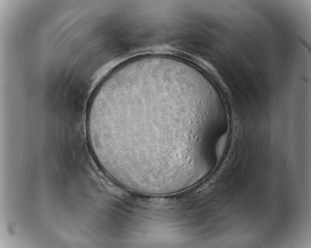 X0000103171176200809051715