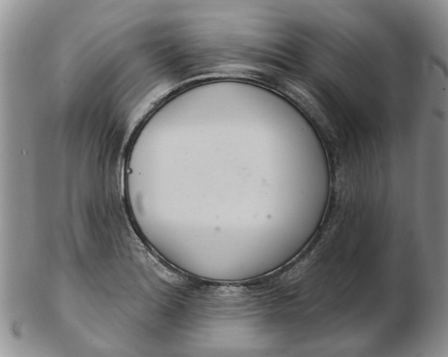 X0000103171180200809051715