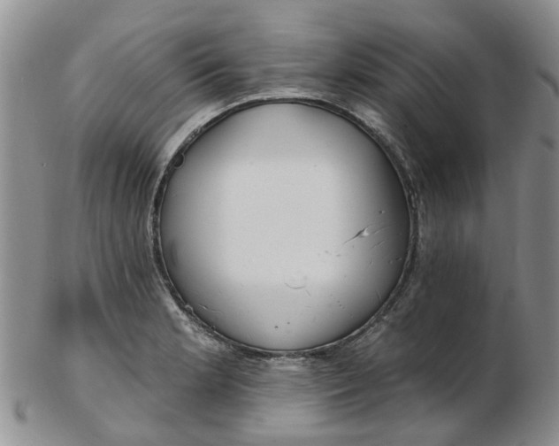 X0000103171181200809051715