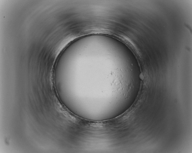 X0000103171182200809051715