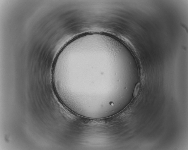 X0000103171183200809051715