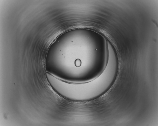 X0000103171185200809051715