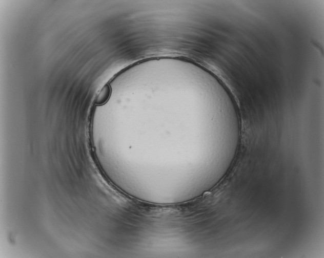 X0000103171187200809051715