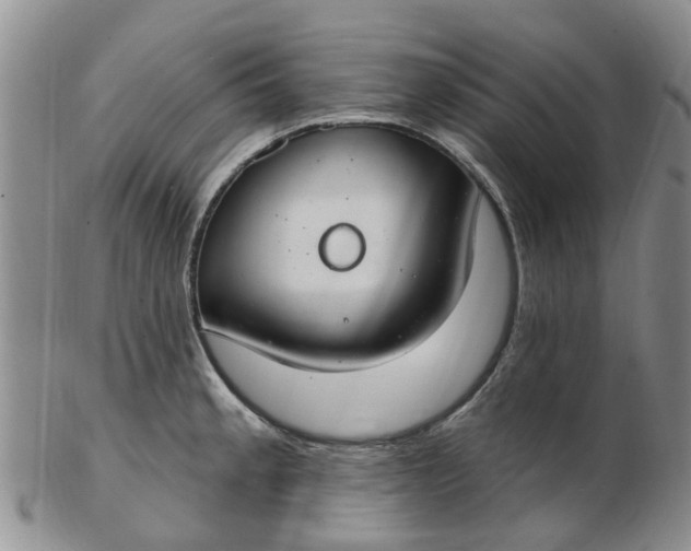 X0000103171189200809051715