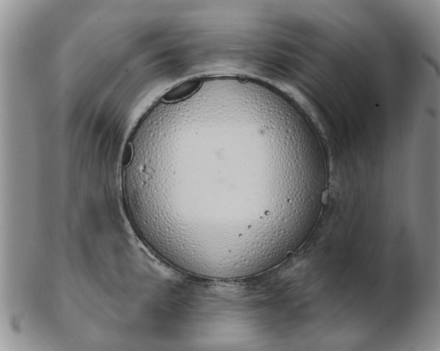 X0000103171191200809051715