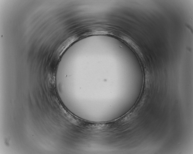 X0000103171193200809051715