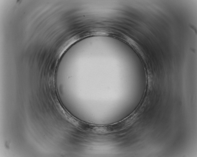 X0000103171194200809051715