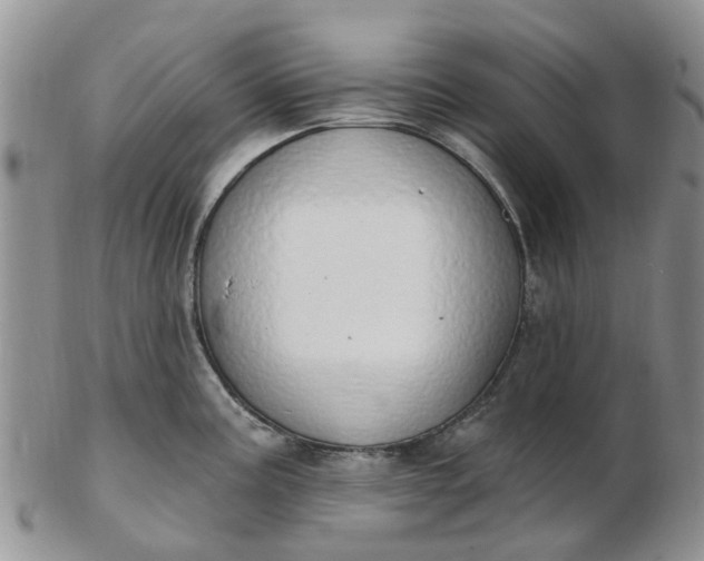 X0000103171195200809051715