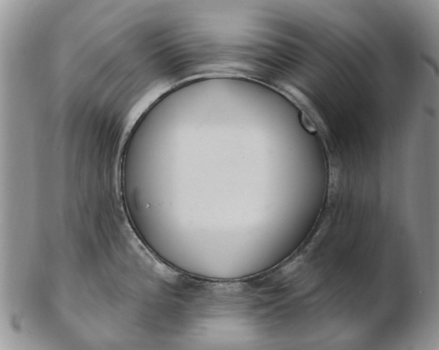 X0000103171196200809051715