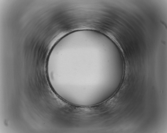 X0000103171197200809051715