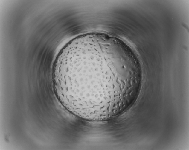 X0000103171200200809051715