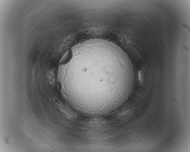 X0000103171203200809051714