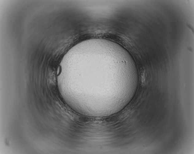 X0000103171204200809051714