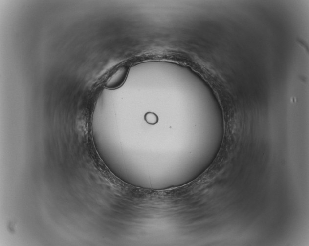 X0000103171206200809051714