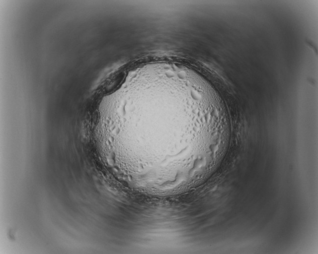 X0000103171207200809051714