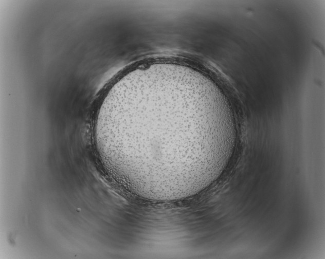 X0000103171208200809051714