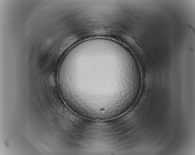 X0000103171209200809051714