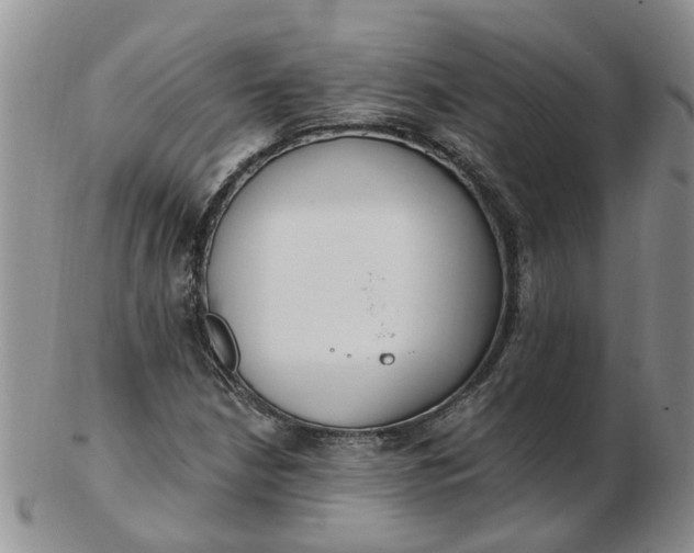 X0000103171210200809051714