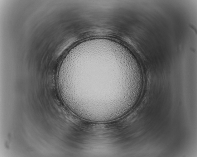 X0000103171211200809051714