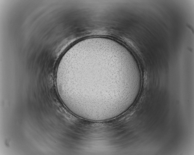 X0000103171212200809051714