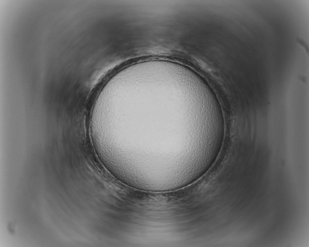 X0000103171214200809051714