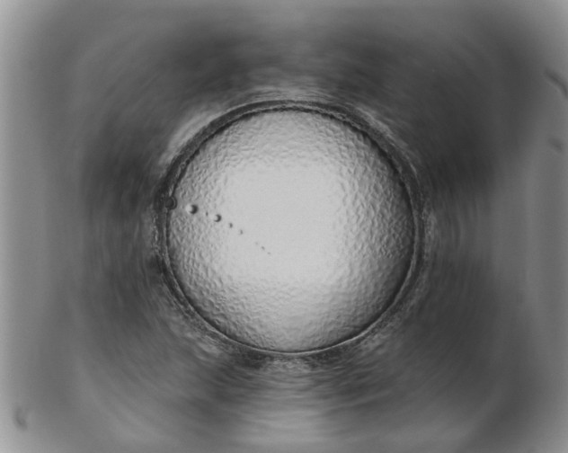 X0000103171215200809051714