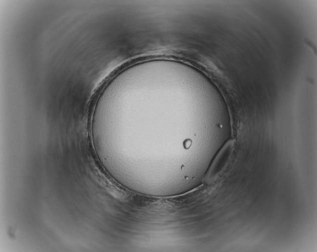 X0000103171216200809051714