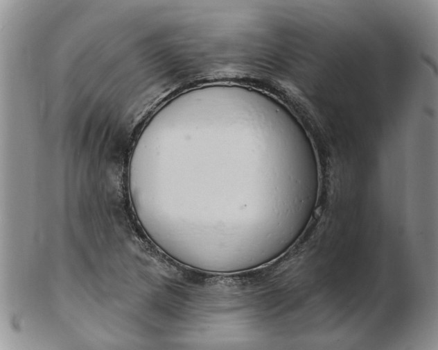 X0000103171217200809051714