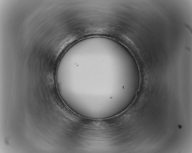 X0000103171218200809051714