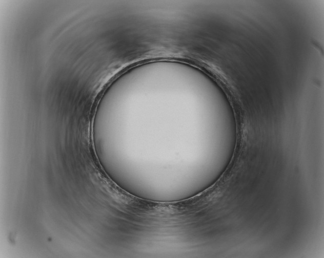 X0000103171220200809051714