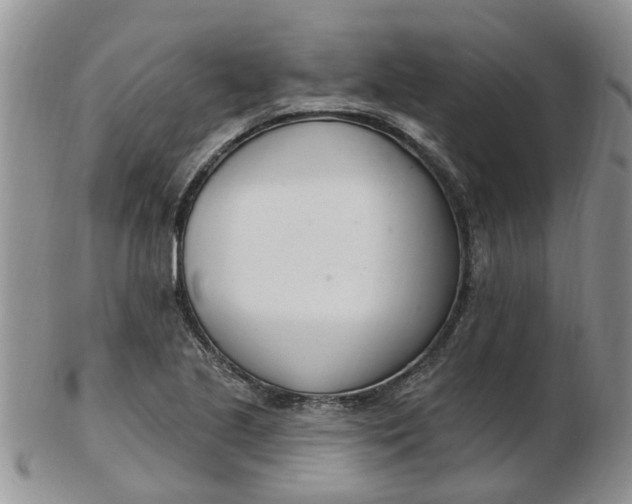 X0000103171221200809051714