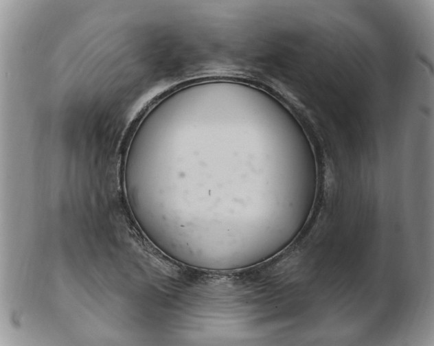 X0000103171222200809051714