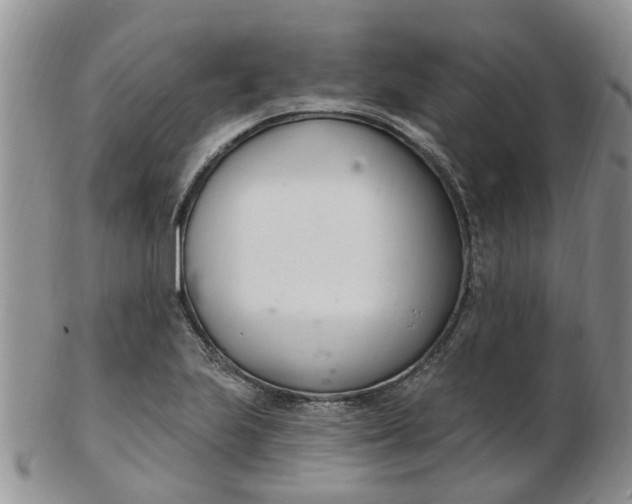 X0000103171223200809051714