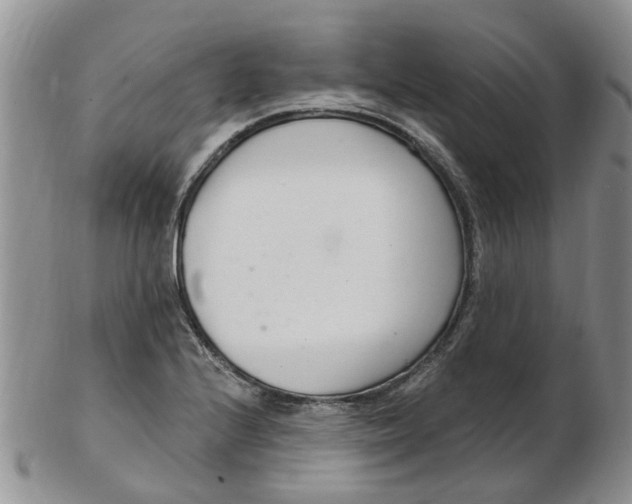 X0000103171224200809051714