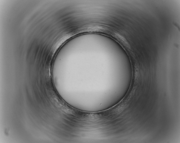 X0000103171226200809051714