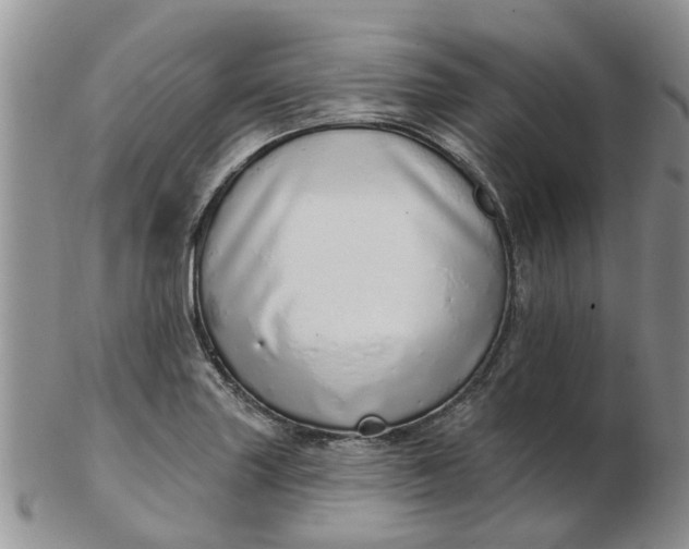 X0000103171227200809051714