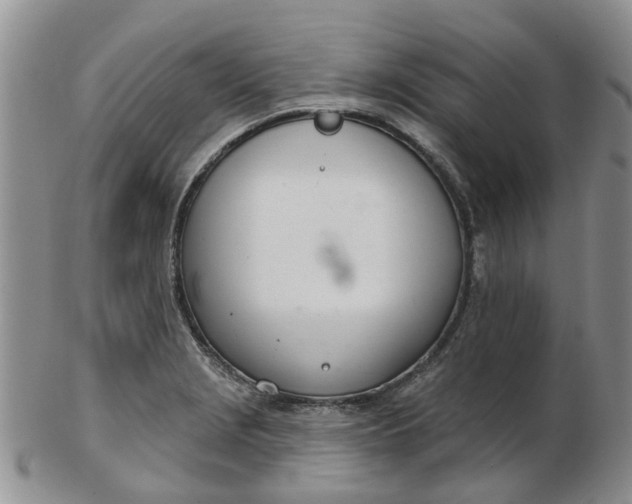 X0000103171229200809051714