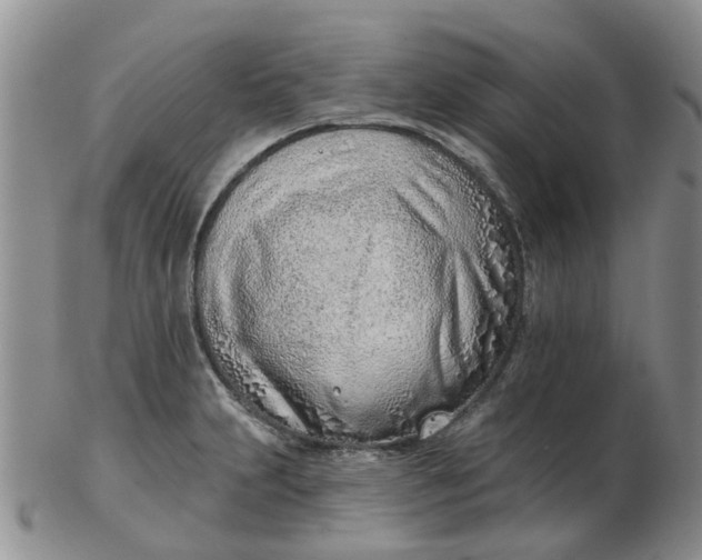 X0000103171231200809051714