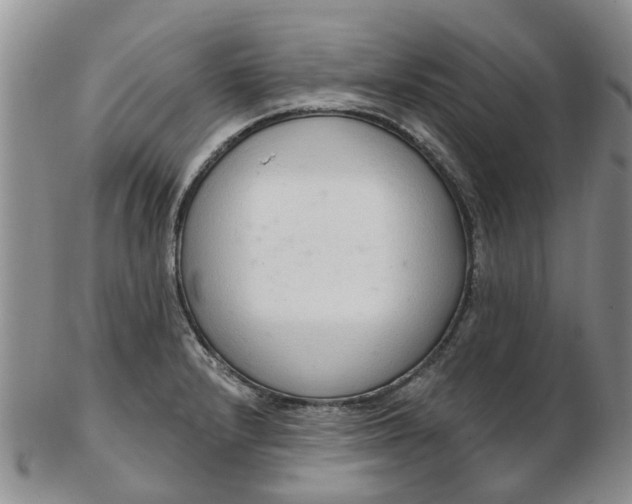 X0000103171232200809051714