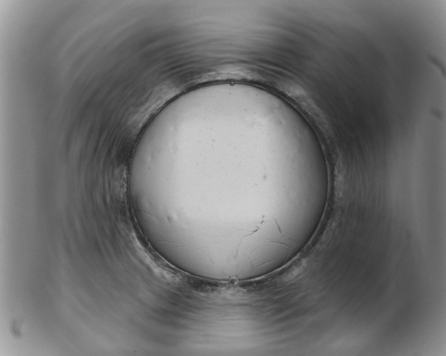 X0000103171233200809051714