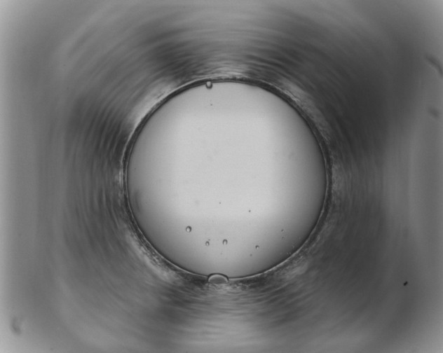 X0000103171234200809051714