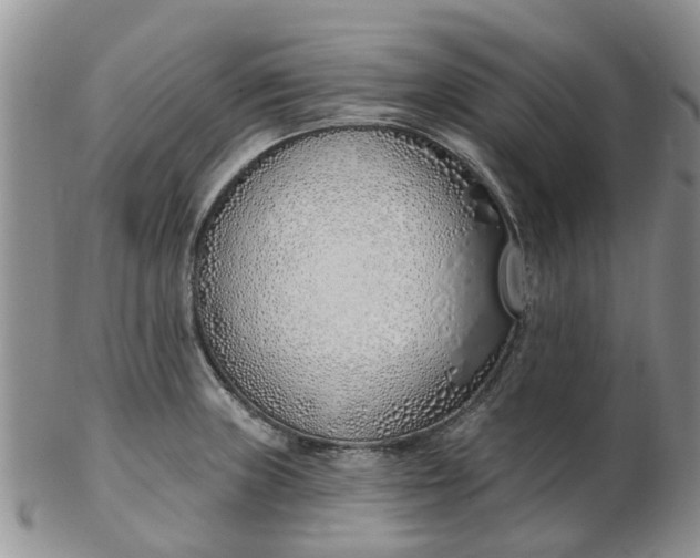 X0000103171235200809051714