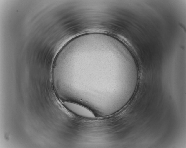 X0000103171236200809051714