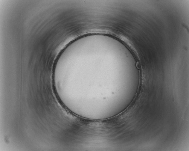 X0000103171237200809051714